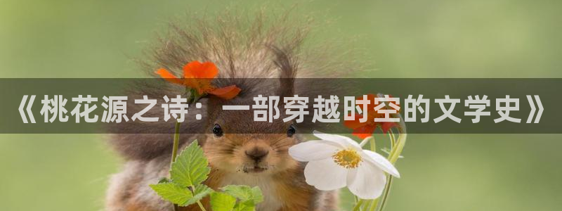 51视频网在线观看：《桃花源之诗：一部穿越时空的文学史》