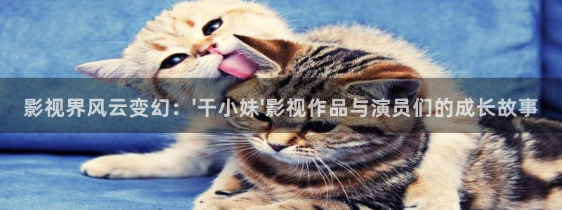 51视频学院官网