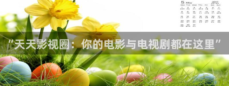 51视频：“天天影视圈：你的电影与电视剧都在这里”
