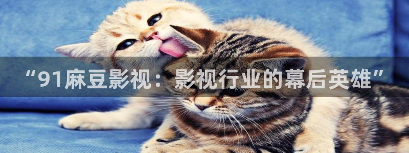 51视频网在线观看