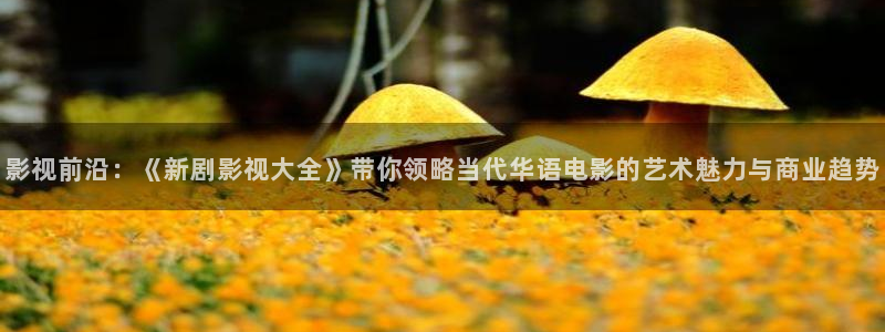 51视频麻豆