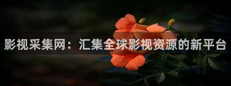 51视频在线视频