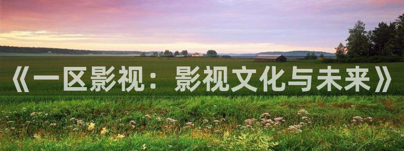 51视频平台下载安装：《一区影视：影视文化与未来》