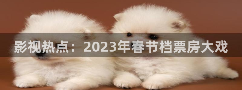 免费51视频：影视热点：2023年春节档票房大戏