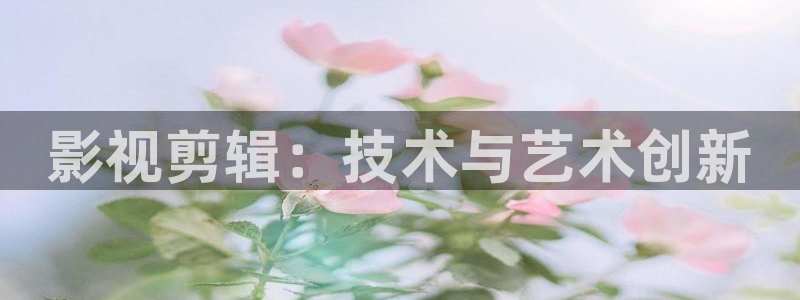 51视频在线观看网址：影视剪辑：技术与艺术创新