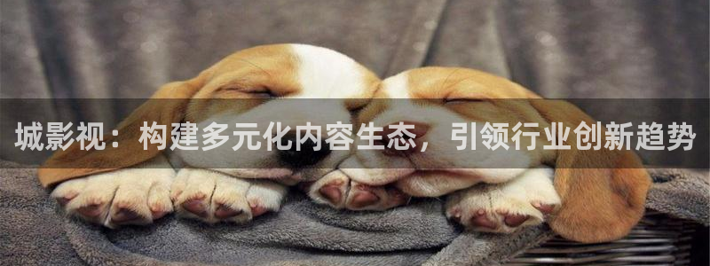 51视频在线视频观看：城影视：构建多元化内容生态，引领行业创新趋势
