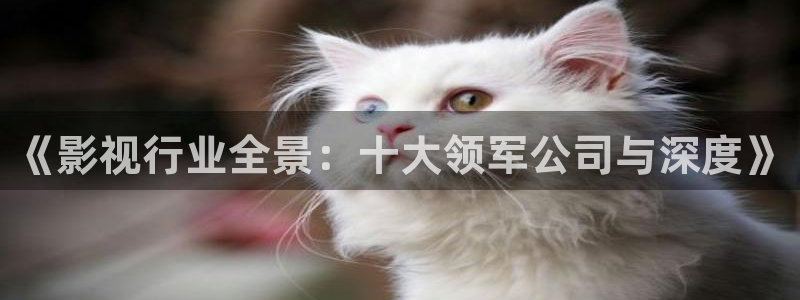 51视频官方版下载安装