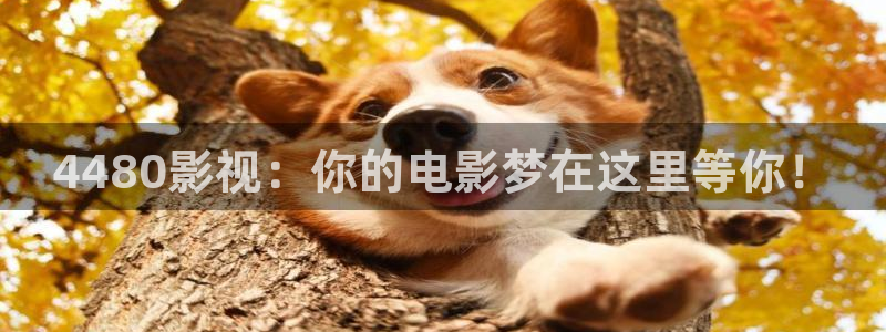 免费51视频
